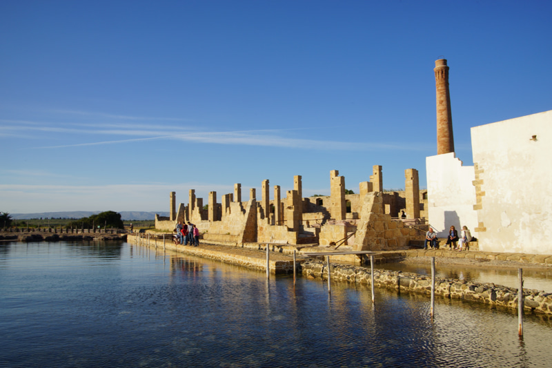 riserva vendicari sicilia