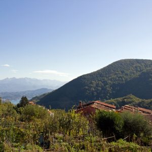 Biassa