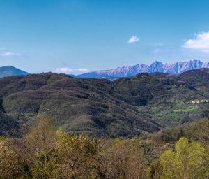 visuale panoramica della Luigiana