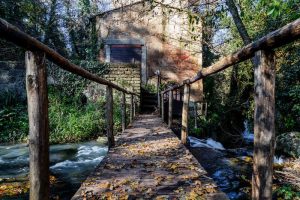 Fiume Treja a Monte Gelato