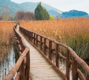 Lago di Massaciuccoli