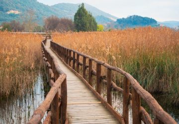 Lago di Massaciuccoli