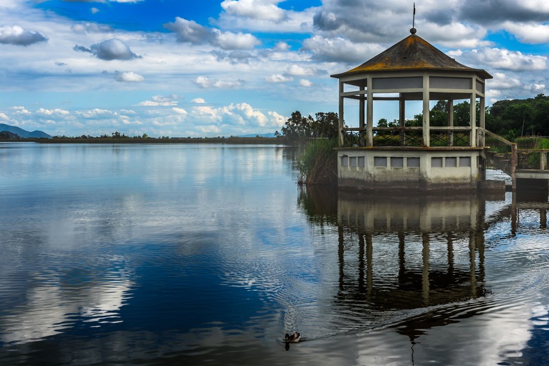 Lago di Massaciuccoli torre