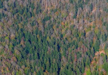 Parco Nazionale delle Foreste Casentinesi vista dall'alto