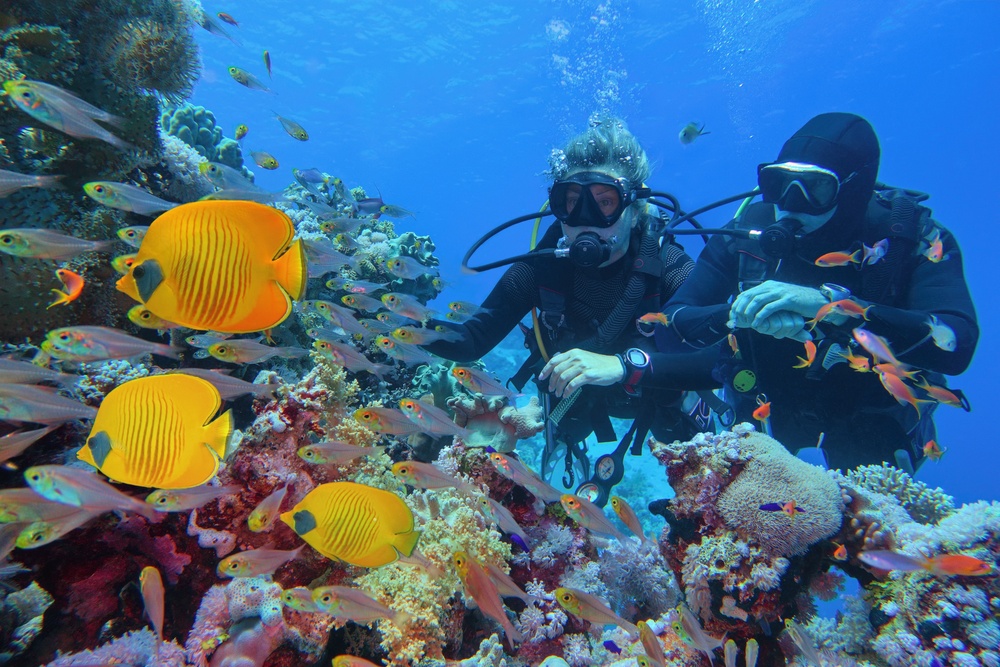 Barriera Corallina Sharm El Sheikh