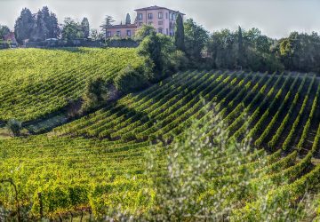 Bolgheri