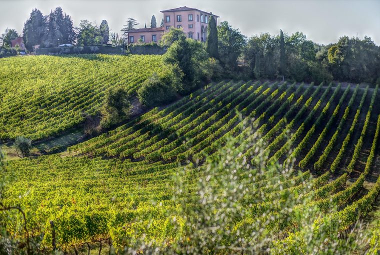 Bolgheri