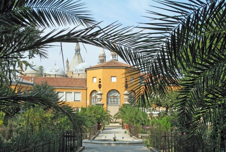 Orto Botanico di Padova